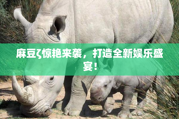 麻豆ζ惊艳来袭，打造全新娱乐盛宴！