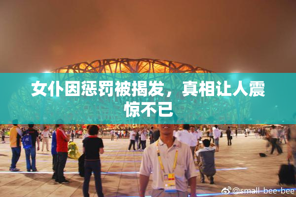 女仆因惩罚被揭发，真相让人震惊不已