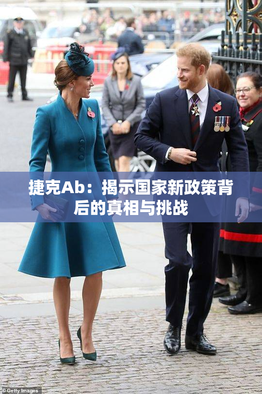 捷克Ab：揭示国家新政策背后的真相与挑战