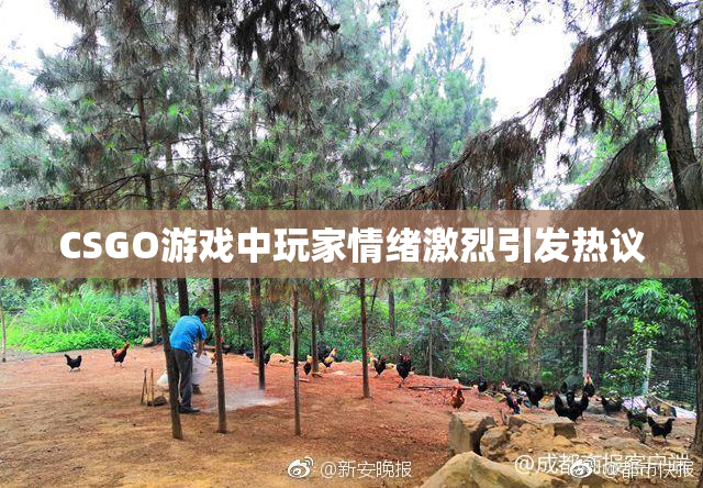 CSGO游戏中玩家情绪激烈引发热议