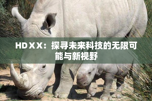 HDⅩX：探寻未来科技的无限可能与新视野