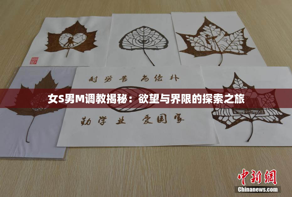 女S男M调教揭秘：欲望与界限的探索之旅