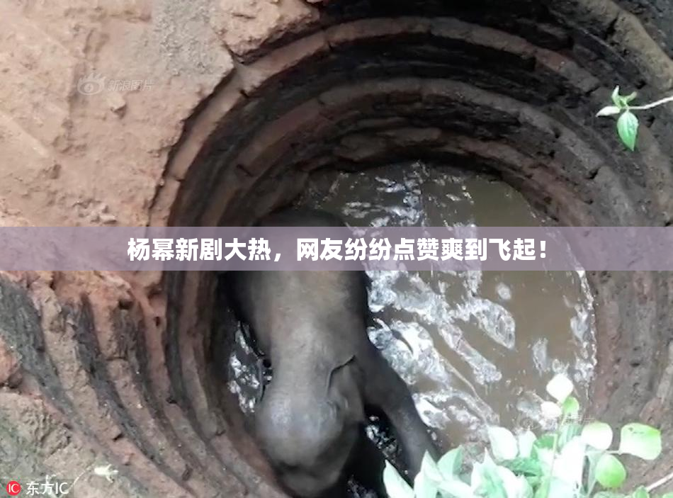 杨幂新剧大热，网友纷纷点赞爽到飞起！