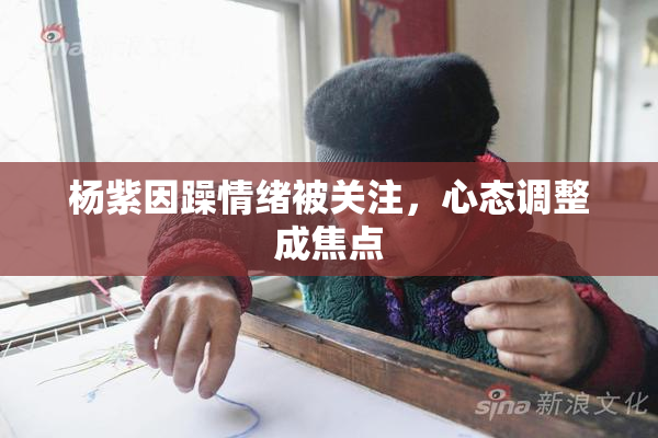杨紫因躁情绪被关注，心态调整成焦点