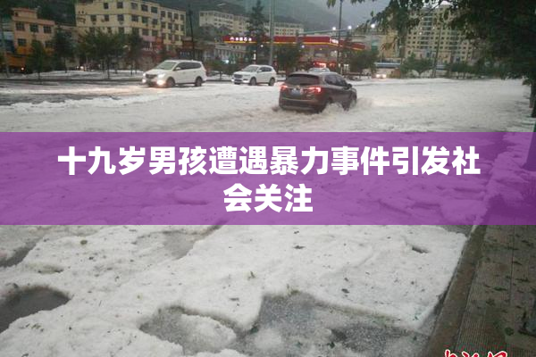 十九岁男孩遭遇暴力事件引发社会关注