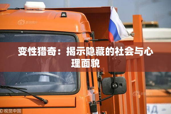 变性猎奇：揭示隐藏的社会与心理面貌