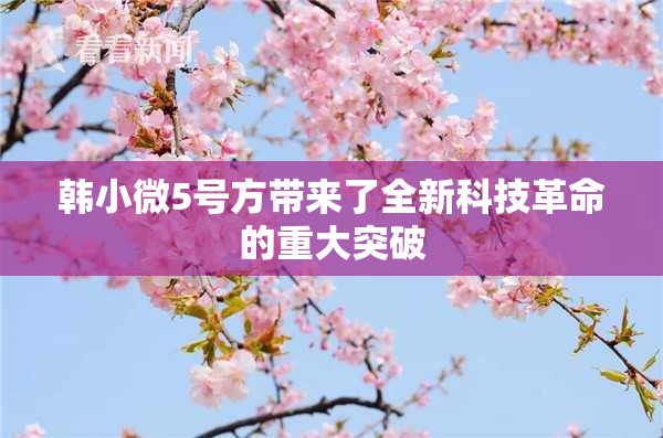 韩小微5号方带来了全新科技革命的重大突破