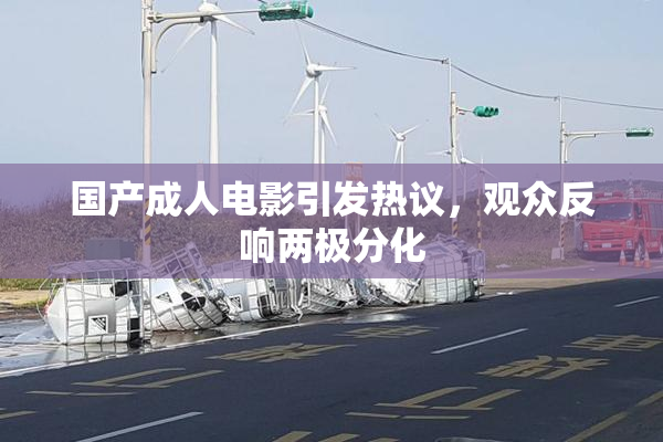 国产成人电影引发热议，观众反响两极分化