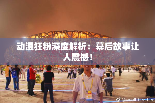 动漫狂粉深度解析：幕后故事让人震撼！