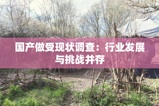 国产做受现状调查：行业发展与挑战并存
