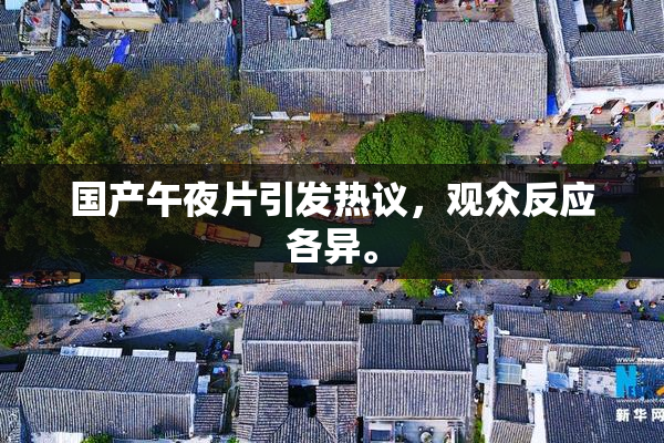 国产午夜片引发热议，观众反应各异。