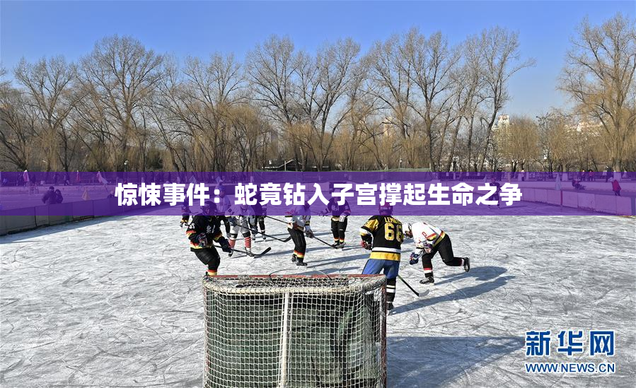惊悚事件：蛇竟钻入子宫撑起生命之争