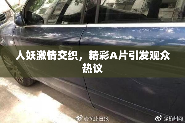 人妖激情交织，精彩A片引发观众热议