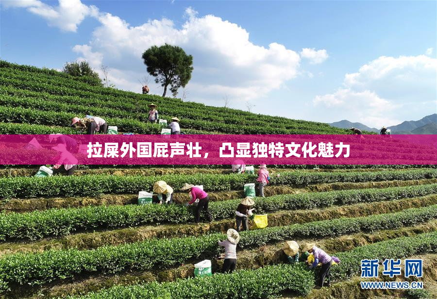 拉屎外国屁声壮，凸显独特文化魅力