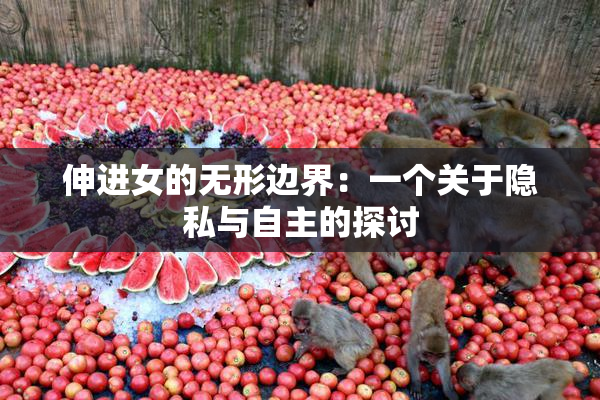 伸进女的无形边界：一个关于隐私与自主的探讨