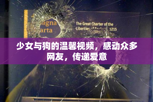 少女与狗的温馨视频，感动众多网友，传递爱意