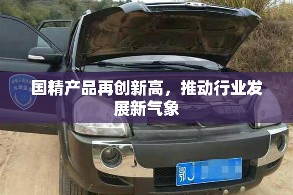 国精产品再创新高，推动行业发展新气象