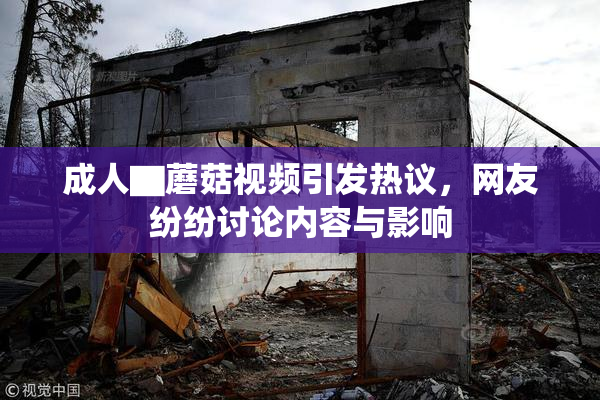 成人▇蘑菇视频引发热议，网友纷纷讨论内容与影响