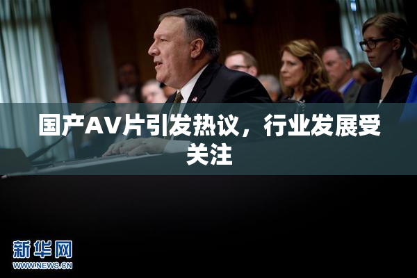 国产AV片引发热议，行业发展受关注