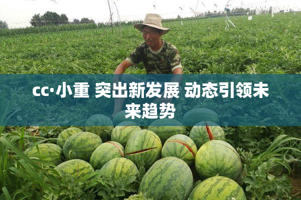 cc·小重 突出新发展 动态引领未来趋势