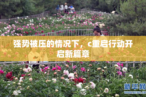 强势被压的情况下，c重启行动开启新篇章