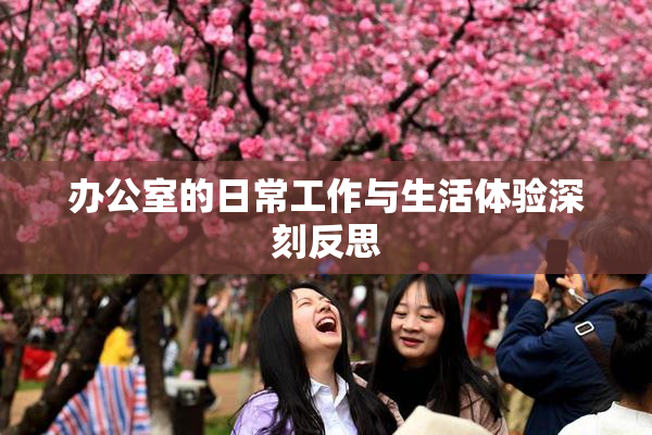 办公室的日常工作与生活体验深刻反思