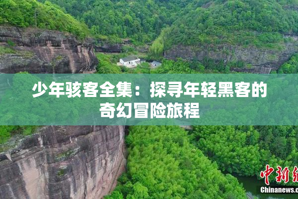 少年骇客全集：探寻年轻黑客的奇幻冒险旅程