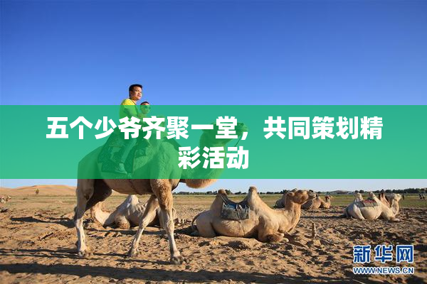 五个少爷齐聚一堂，共同策划精彩活动
