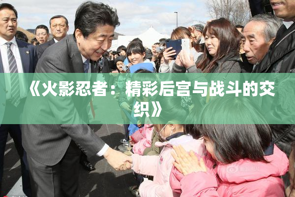 《火影忍者：精彩后宫与战斗的交织》
