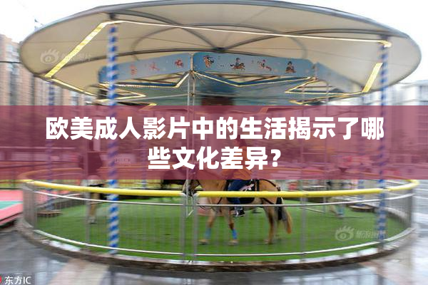 欧美成人影片中的生活揭示了哪些文化差异？