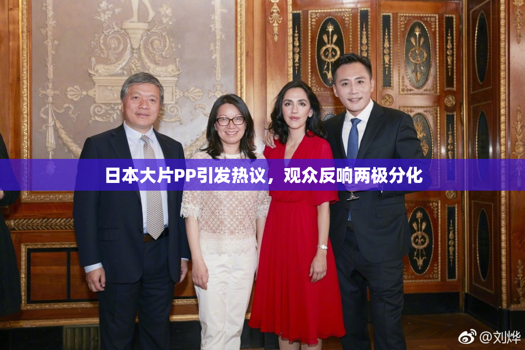 日本大片PP引发热议，观众反响两极分化