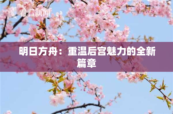 明日方舟：重温后宫魅力的全新篇章