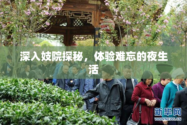 深入妓院探秘，体验难忘的夜生活
