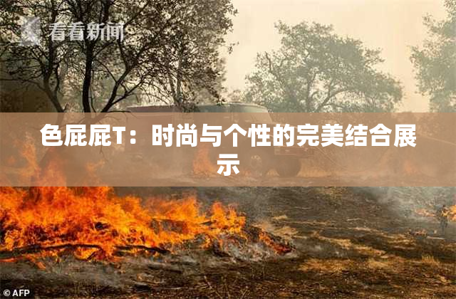 色屁屁T：时尚与个性的完美结合展示
