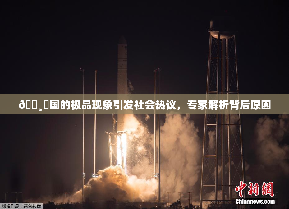 🌸‌国的极品现象引发社会热议，专家解析背后原因