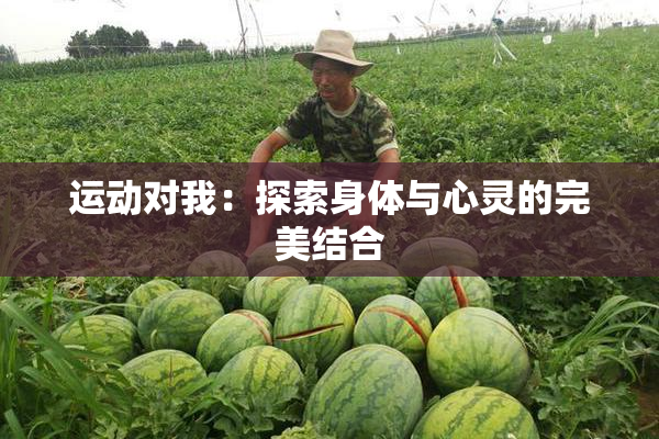 运动对我：探索身体与心灵的完美结合
