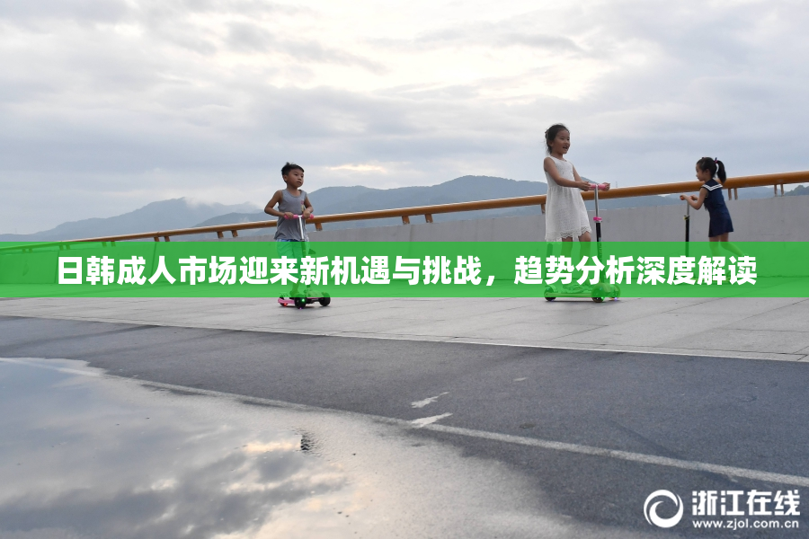 日韩成人市场迎来新机遇与挑战，趋势分析深度解读