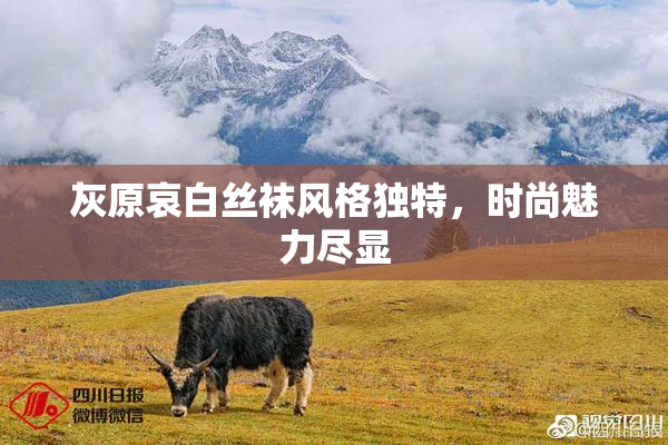 灰原哀白丝袜风格独特，时尚魅力尽显