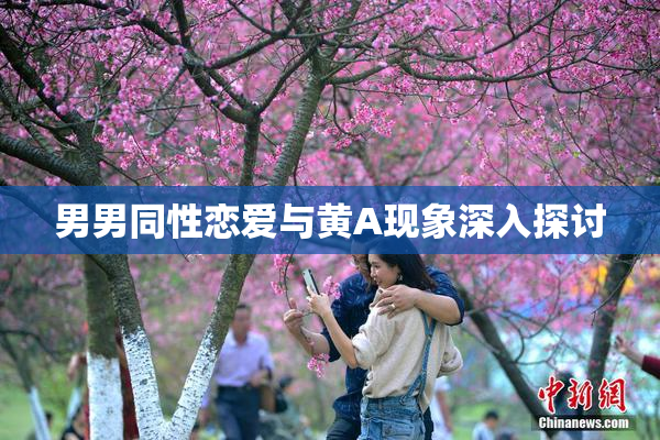 男男同性恋爱与黄A现象深入探讨