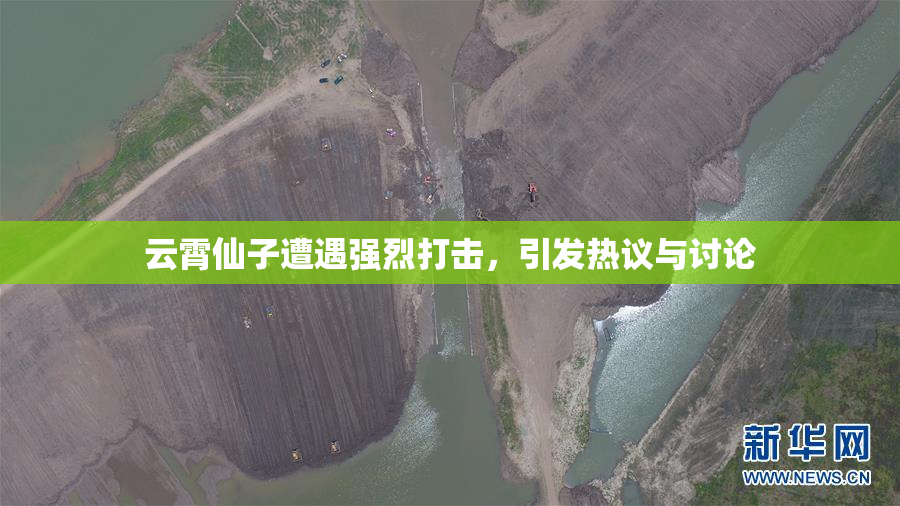 云霄仙子遭遇强烈打击，引发热议与讨论
