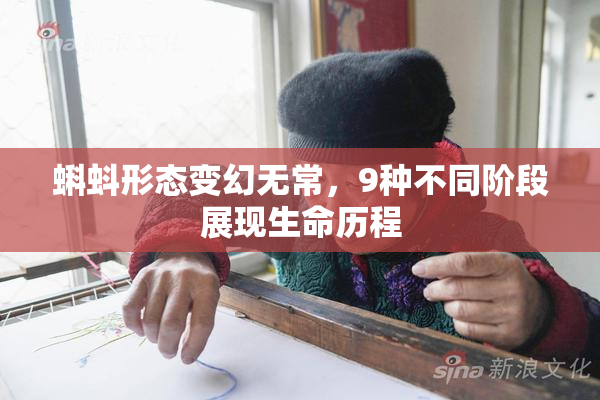 蝌蚪形态变幻无常，9种不同阶段展现生命历程