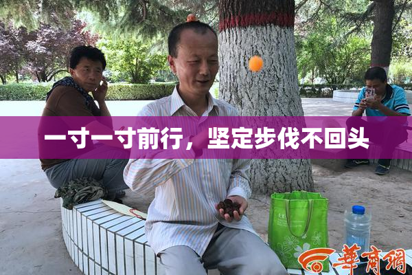 一寸一寸前行，坚定步伐不回头