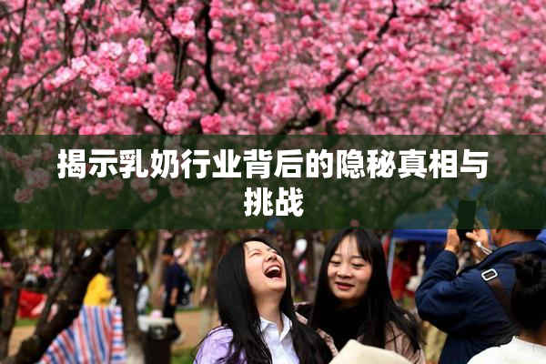 揭示乳奶行业背后的隐秘真相与挑战