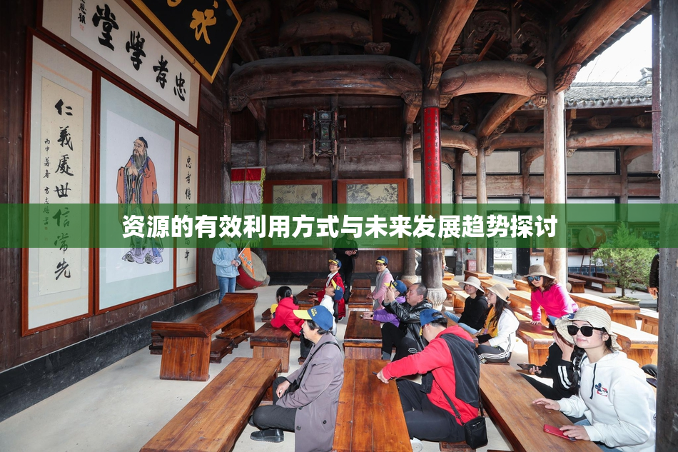 资源的有效利用方式与未来发展趋势探讨