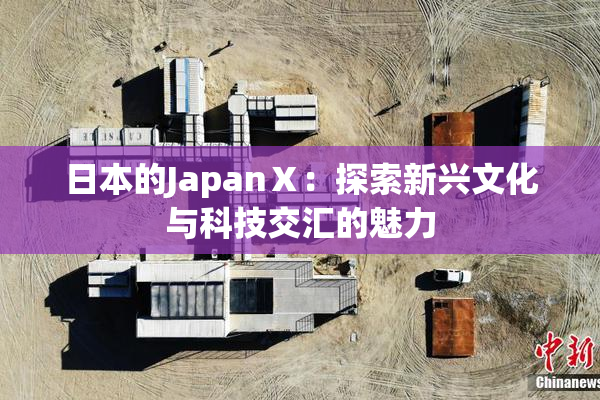 日本的JapanⅩ：探索新兴文化与科技交汇的魅力