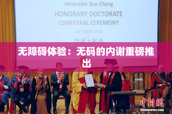 无障碍体验：无码的内谢重磅推出