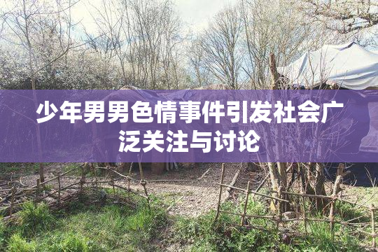 少年男男色情事件引发社会广泛关注与讨论