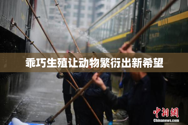 乖巧生殖让动物繁衍出新希望