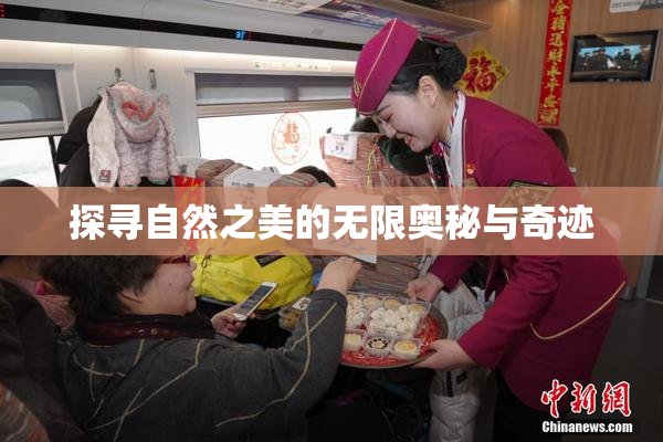 探寻自然之美的无限奥秘与奇迹