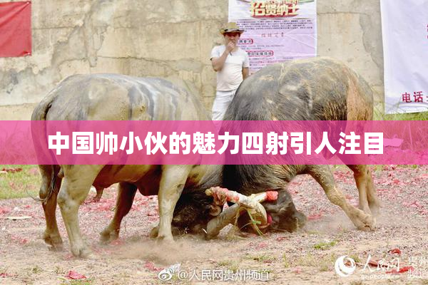 中国帅小伙的魅力四射引人注目